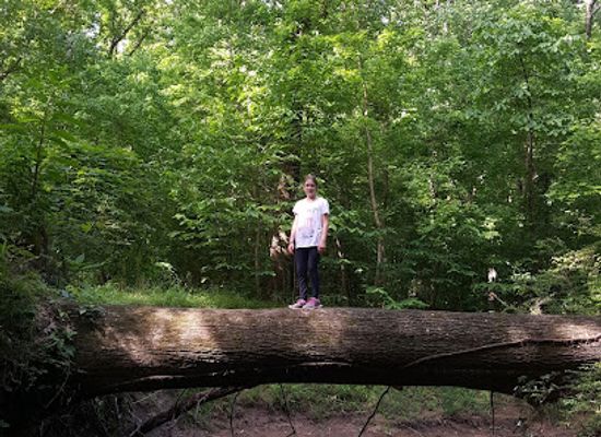 tennessee/hatchie-river-area/attraction/nesbit-park-stanky-creek-trails