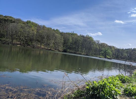 ohio/appalachian-ohio/attraction/woodbury-wildlife-area
