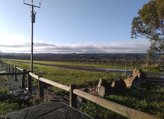 australia/fleurieu-peninsula/attraction/shiraz-trail