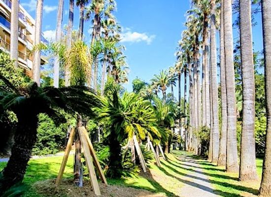france/nice/attraction/parc-municipal-carol-de-roumanie