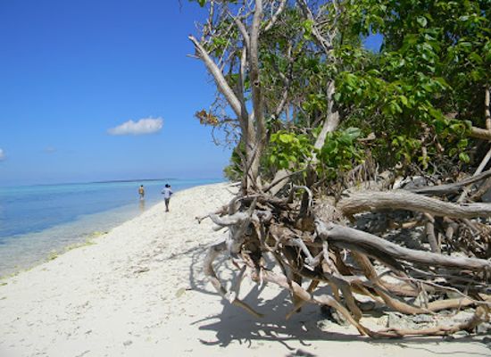 maldives/haa-alif-atoll/attraction/baarah