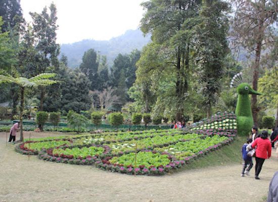 india/sikkim/attraction/saramsa-garden