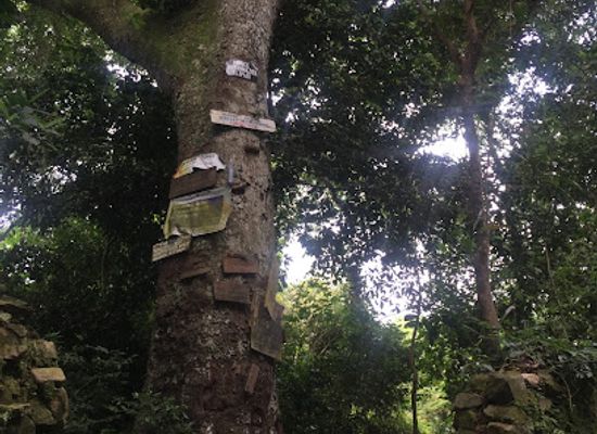 uganda/ssese-islands/attraction/john-speke-s-fort