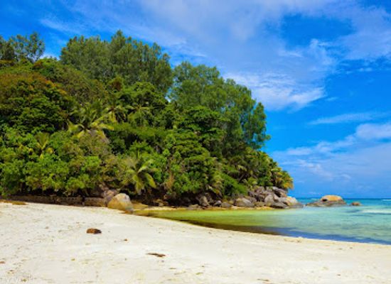 seychelles/denis-island/attraction/ile-moyenne