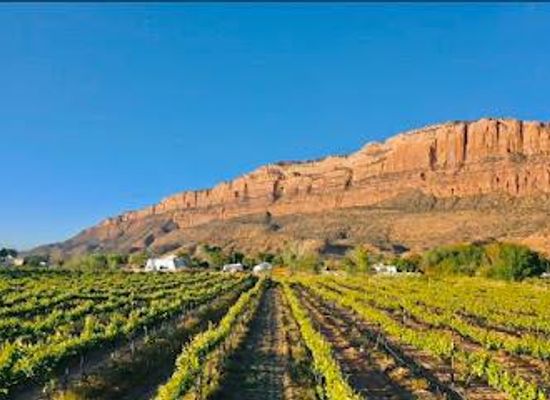 utah/colorado-plateau/attraction/spanish-valley-vineyard-winery