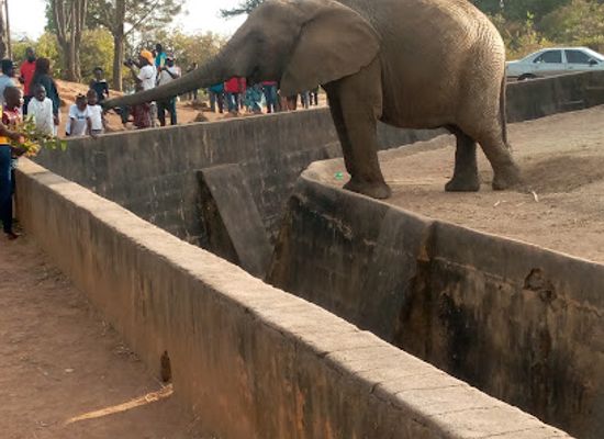 nigeria/jos/attraction/jos-wild-life-park
