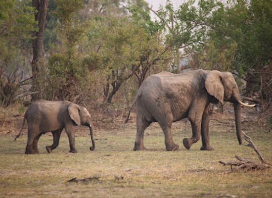botswana/kweneng-district/attraction/ng-30-non-consumptive-concession