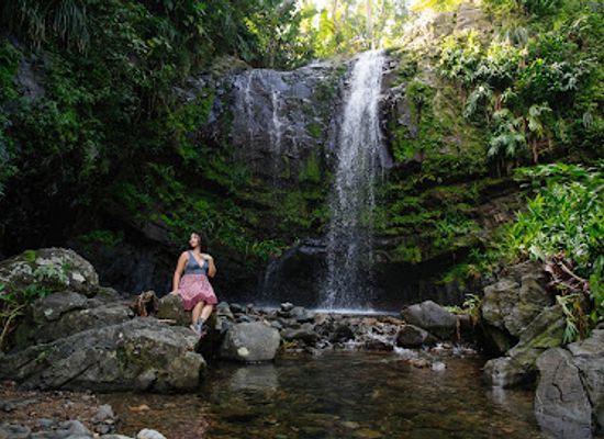 puerto-rico/vieques-island/attraction/cascada-las-delicias