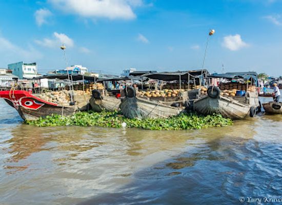 vietnam/mekong-delta/attraction/cai-rang-floating-market