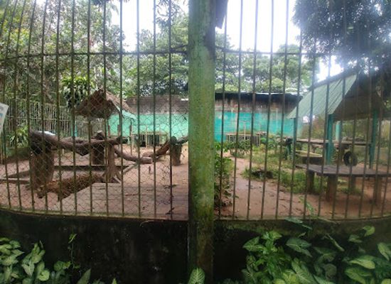 peru/tambopata-national-reserve/attraction/albergue-zoologico-el-jaguar
