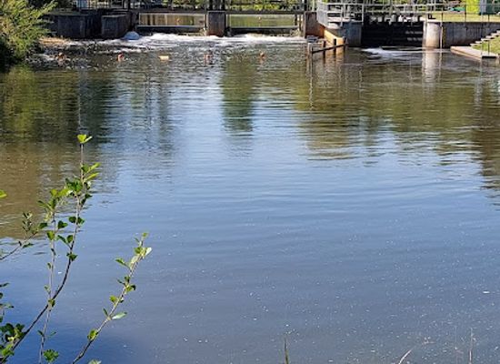 germany/spreewald/attraction/spreewald-biosphere-reserve