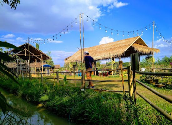 thailand/lanna/attraction/ginger-farm