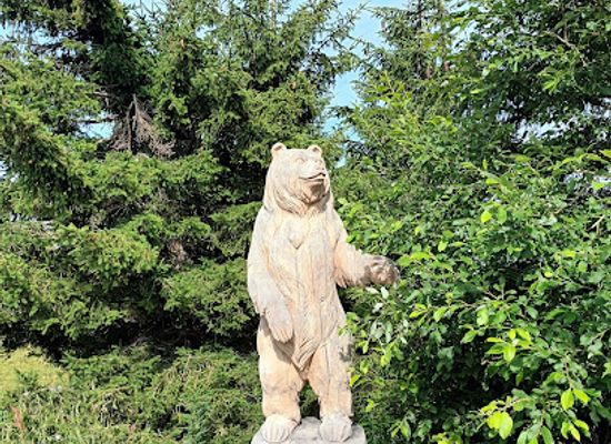 austria/kitzbuhel/attraction/hangebrucke