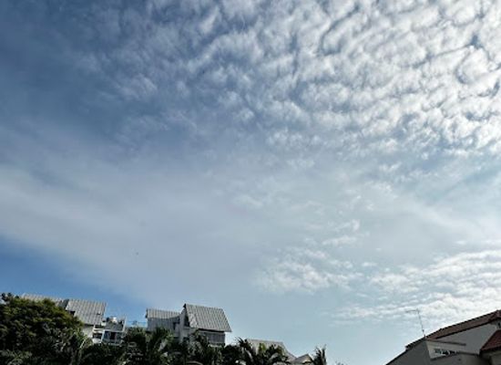 singapore/geylang/attraction/telok-kurau-lorong-n-park