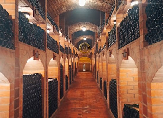 slovenia/mura/attraction/radgonske-gorice-gornja-radgona-d-o-o