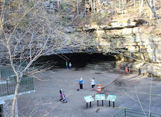 tennessee/clarksville/attraction/dunbar-cave-state-park