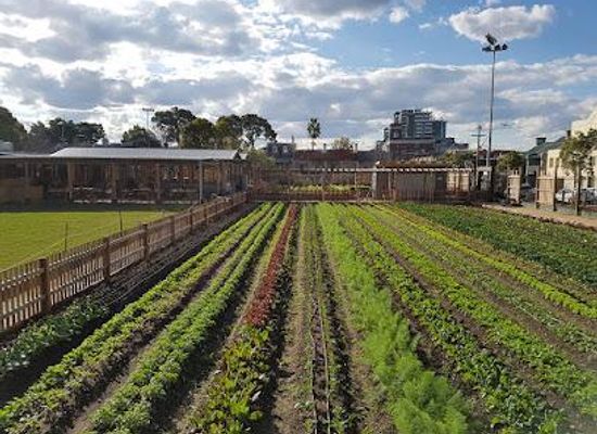 australia/western-new-south-wales/attraction/pocket-city-farms