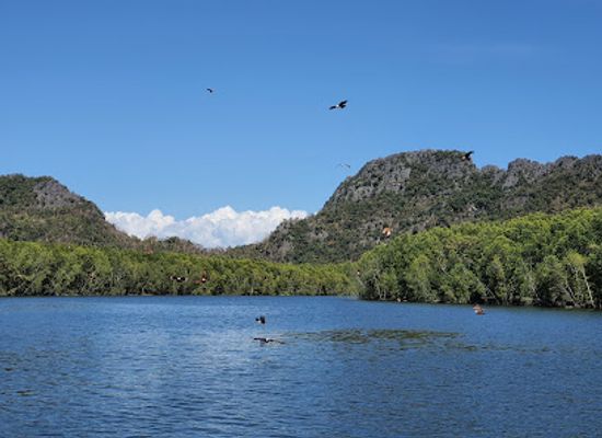malaysia/langkawi-archipelago/attraction/tanjung-rhu-mangrove-eagle-viewing