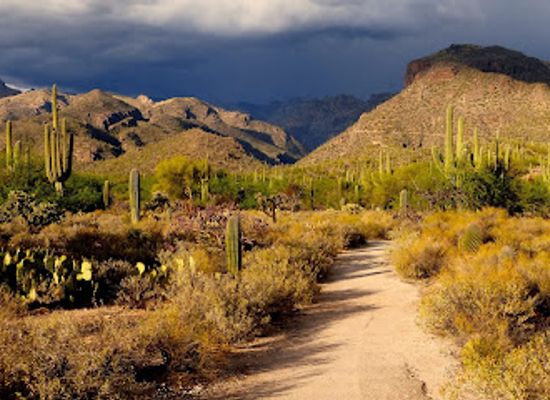 arizona/saguaro-national-park/attraction/sabino-canyon-recreation-area