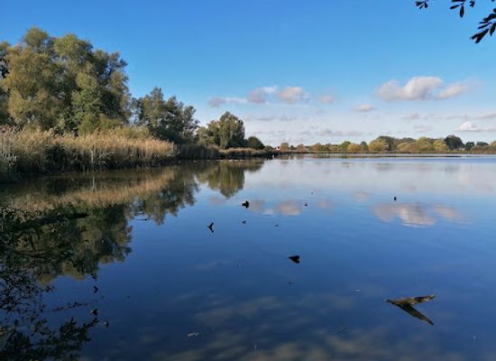 belgium/hainaut/attraction/marais-d-harchies