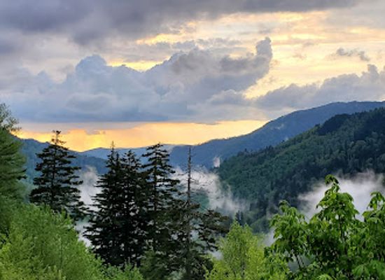 north-carolina/great-smoky-mountains/attraction/ben-morton-overlook