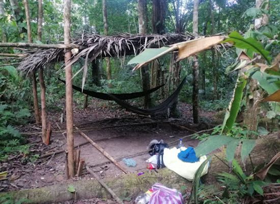 colombia/amazonas-department/attraction/amazon-jungle-tours-colombia-into-the-wild
