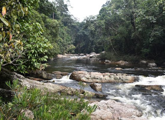 malaysia/taman-negara-national-park/attraction/lata-berkoh