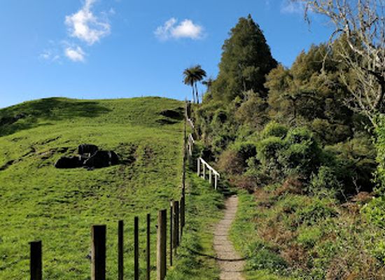 new-zealand/waitomo-caves/attraction/waitomo-lookout-point