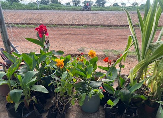 ghana/tamale/attraction/garden-glories