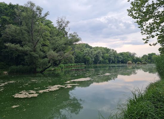 hungary/vac/attraction/maria-forras-hetkapolna-forras