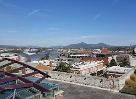 virginia/roanoke/attraction/roanoke-pinball-museum