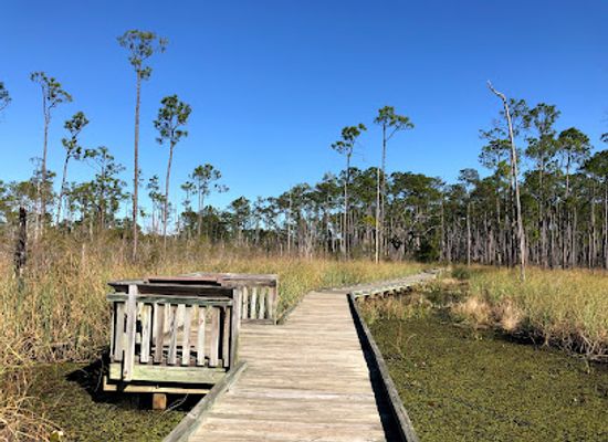 louisiana/northshore/attraction/big-branch-marsh-national-wildlife-refuge