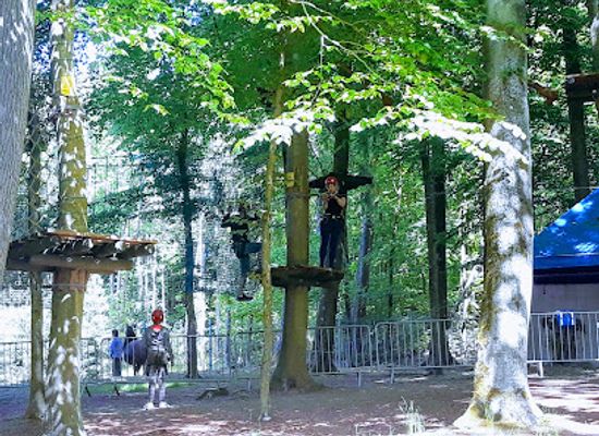 poland/słupsk/attraction/northern-forest
