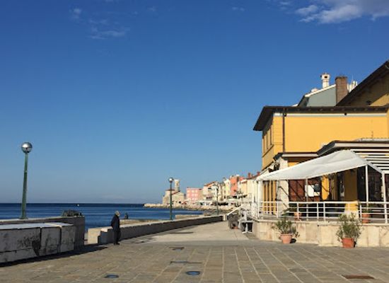slovenia/piran/attraction/muzej-skoljk