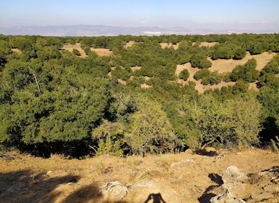 israel/golan-heights/attraction/big-jupta