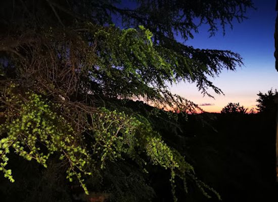 lebanon/horsh-ehden/attraction/mazar-saint-rafqa