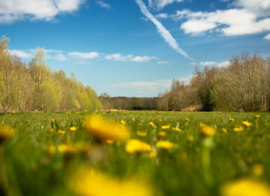 netherlands/bollenstreek/attraction/laarzenpad-keukenhof