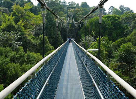 singapore/novena/attraction/treetop-walk