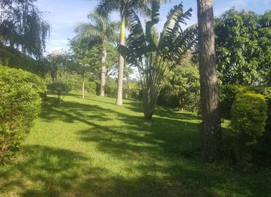 uganda/queen-elizabeth-national-park/attraction/equator-view-safari-lodge-victoria-gardens
