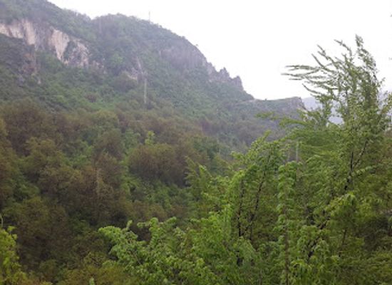 kyrgyzstan/arslanbob-walnut-forest/attraction/arlanbab