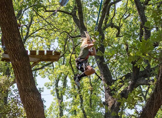 france/languedoc/attraction/tree-adventure-accrodiable