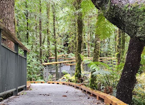 australia/yarra-valley/attraction/wirrawilla-rainforest-walk