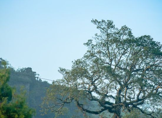 sri-lanka/knuckles-mountain-range/attraction/hunnasgiriya-mountain