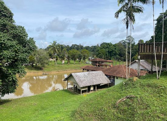 malaysia/miri/attraction/niah-national-park