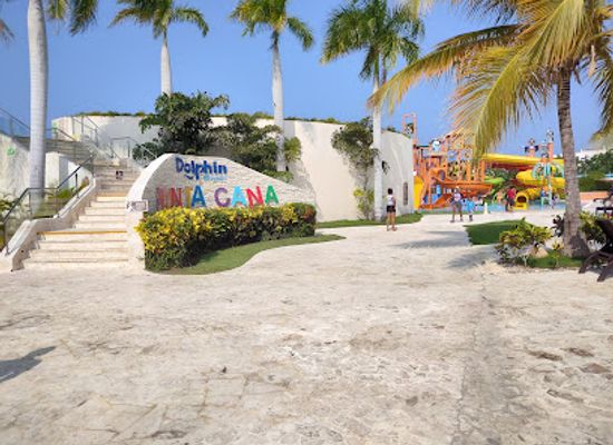 dominican-republic/punta-cana-bavaro/attraction/dolphin-discovery-punta-cana