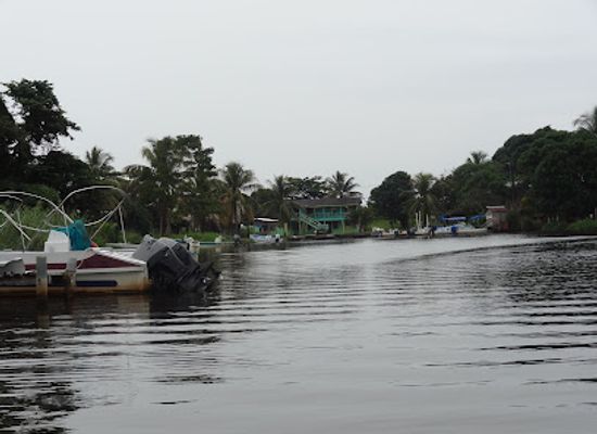 belize/toledo-district/attraction/monkey-river