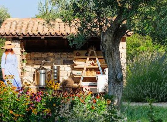 croatia/makarska/attraction/stella-croatica-olive-museum-traditional-food-mediterranean-garden
