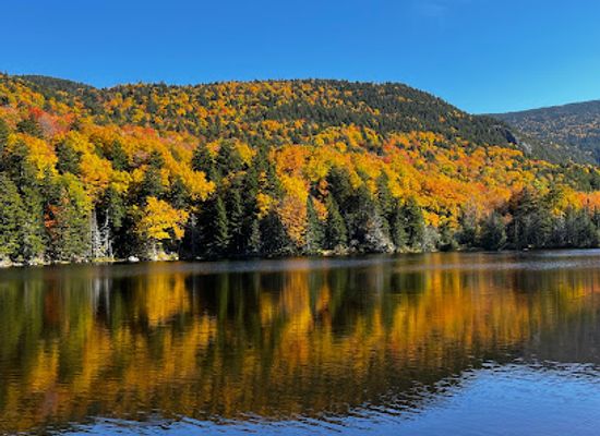 new-hampshire/great-north-woods/attraction/conway-scenic-railroad
