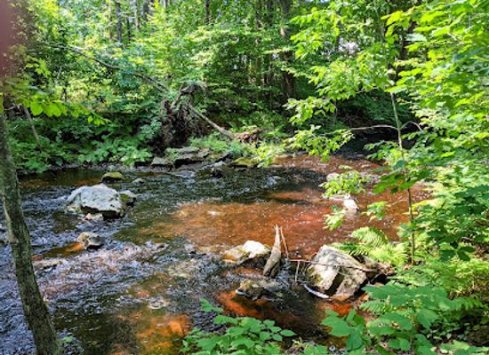 maine/ogunquit/attraction/josias-river-park