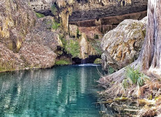 texas/hill-country/attraction/westcave-outdoor-discovery-center